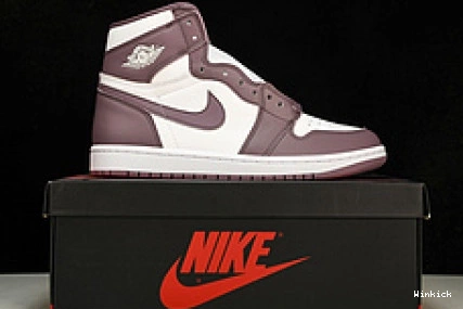 High “Mauve” DZ5485-105 Jordan OG 1 1113